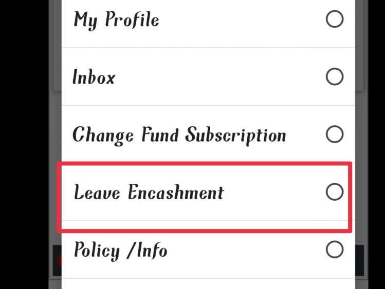 Hamraaz Leave Encashment